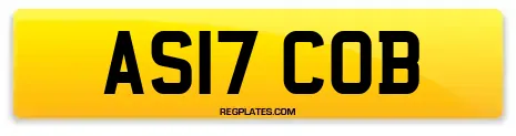 AS17 COB