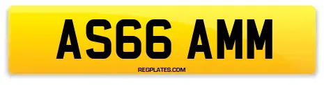 AS66 AMM