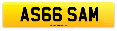 AS66 SAM