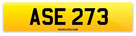 ASE 273