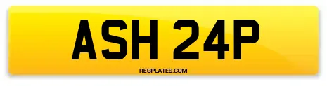 ASH 24P