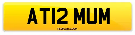 AT12 MUM