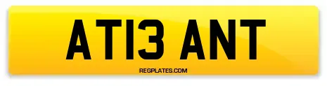 AT13 ANT