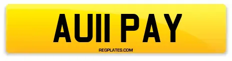AU11 PAY