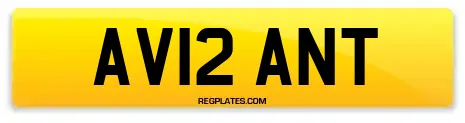 AV12 ANT