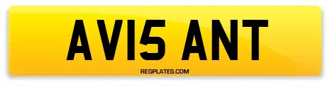 AV15 ANT