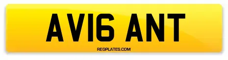 AV16 ANT