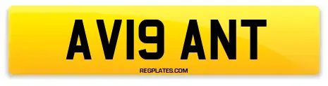 AV19 ANT