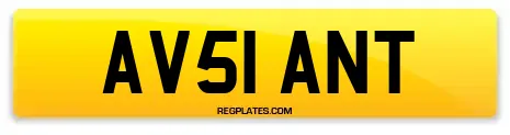 AV51 ANT