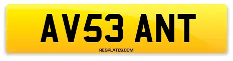 AV53 ANT