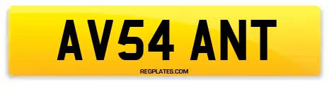 AV54 ANT