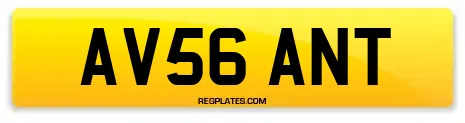 AV56 ANT