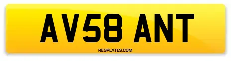 AV58 ANT
