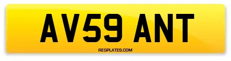 AV59 ANT