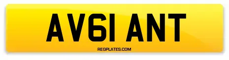 AV61 ANT