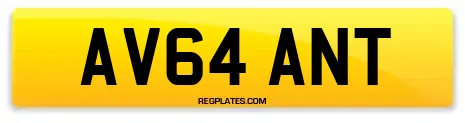 AV64 ANT