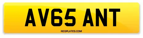 AV65 ANT