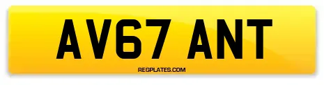 AV67 ANT