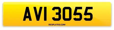 AVI 3055