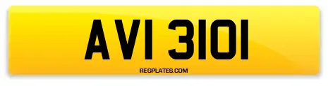 AVI 3101