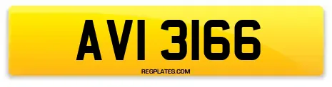 AVI 3166