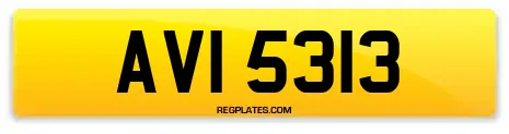 AVI 5313