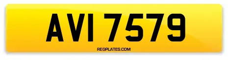 AVI 7579