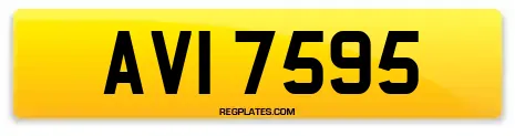 AVI 7595