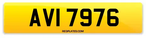 AVI 7976