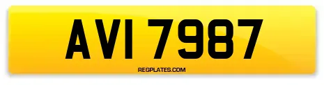 AVI 7987