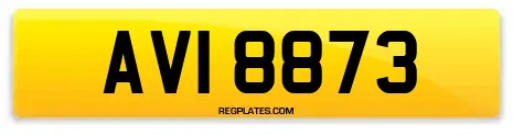 AVI 8873