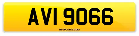 AVI 9066
