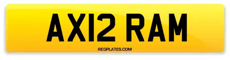 AX12 RAM