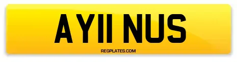 AY11 NUS