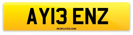 AY13 ENZ