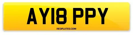 AY18 PPY