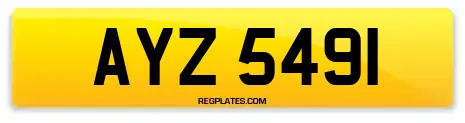 AYZ 5491