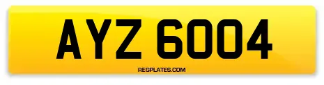 AYZ 6004