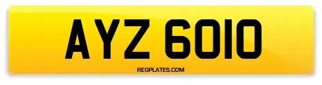 AYZ 6010