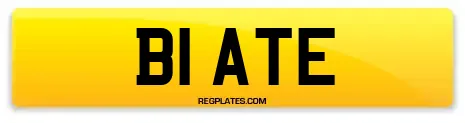 B1 ATE
