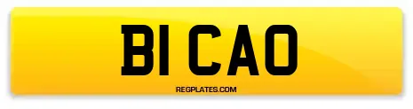 B1 CAO