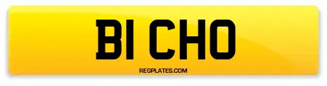 B1 CHO