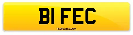 B1 FEC