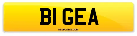 B1 GEA