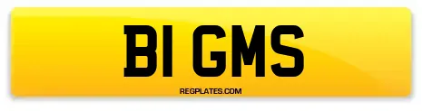 B1 GMS