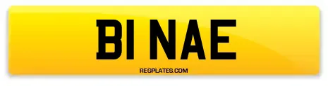 B1 NAE