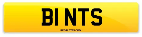B1 NTS
