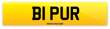 B1 PUR