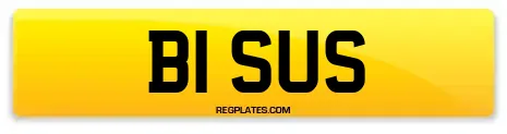 B1 SUS
