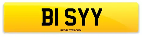 B1 SYY